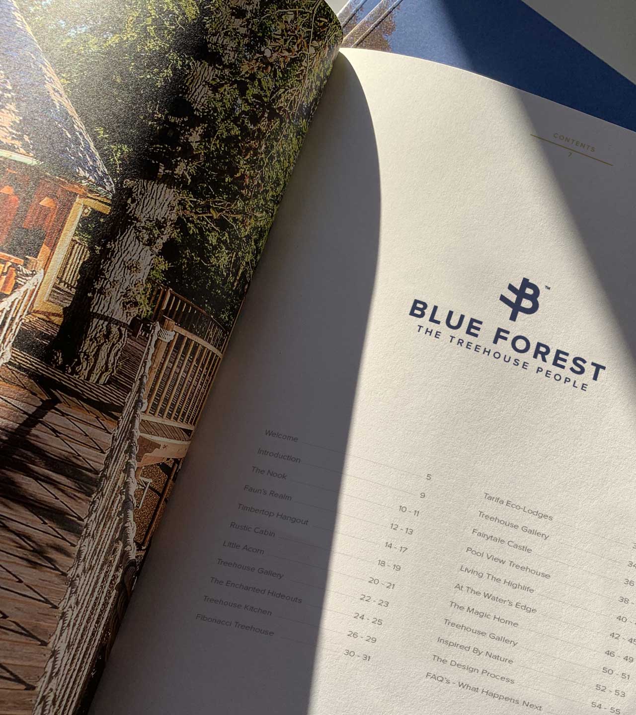 Blue Forest Rebrand